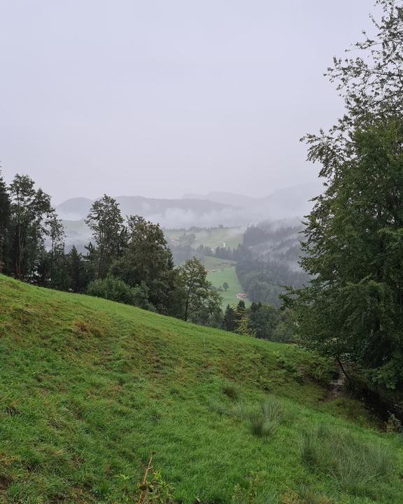 Blockhutte in Oberstaufen